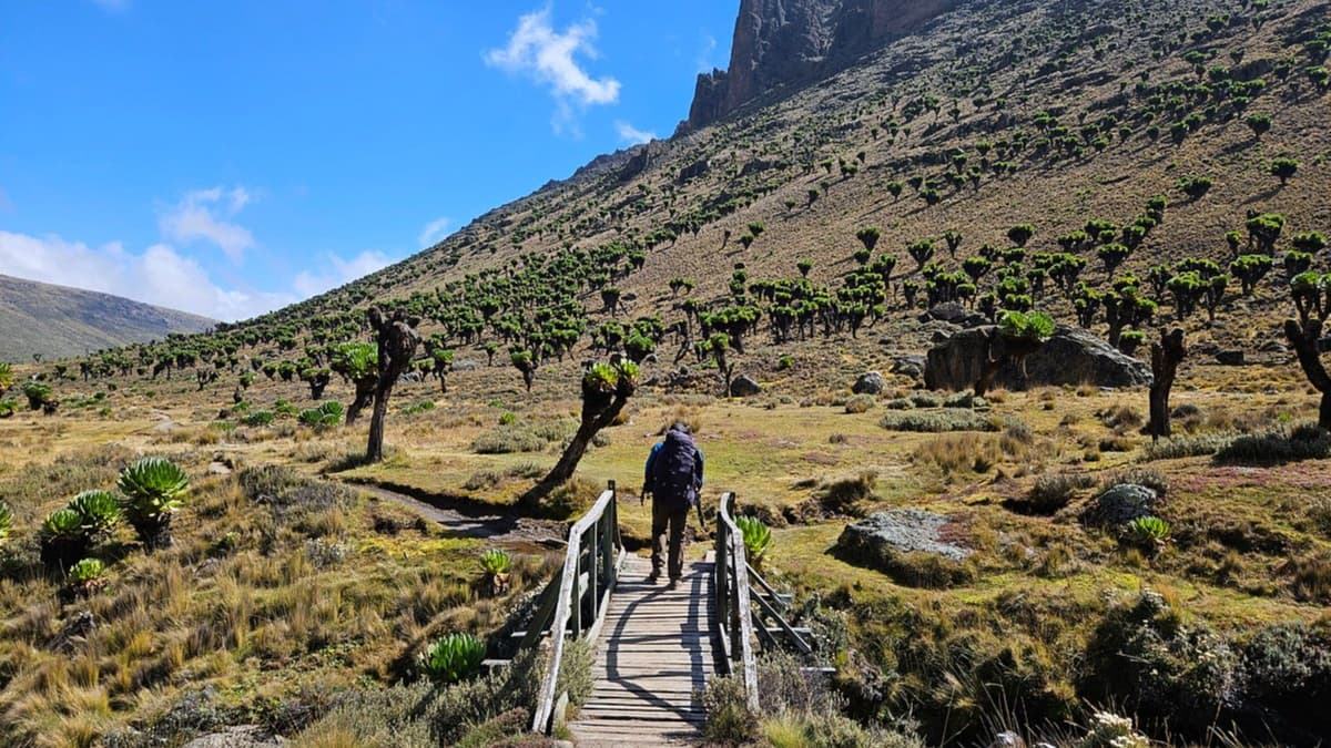 Go To Mount Kenya Adventures