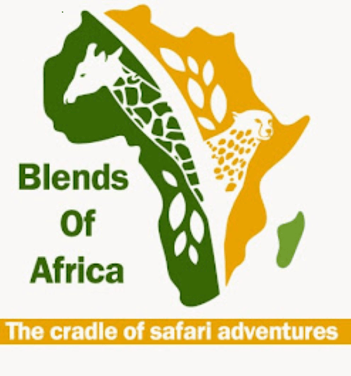 Blends of Africa logo