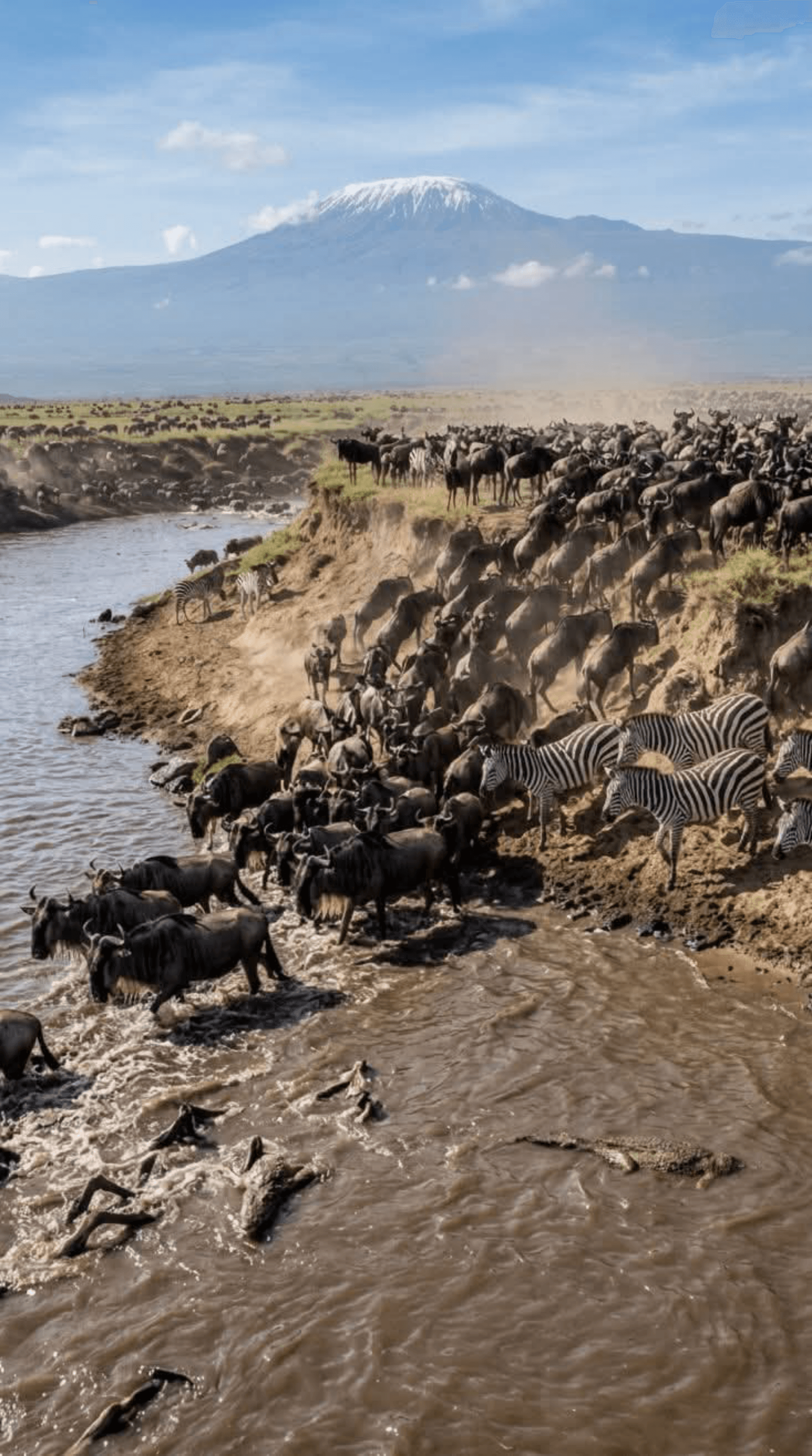Wild beast migration 2926 from Serengeti to masaai mara (Epic) – by Vincent Mwangi