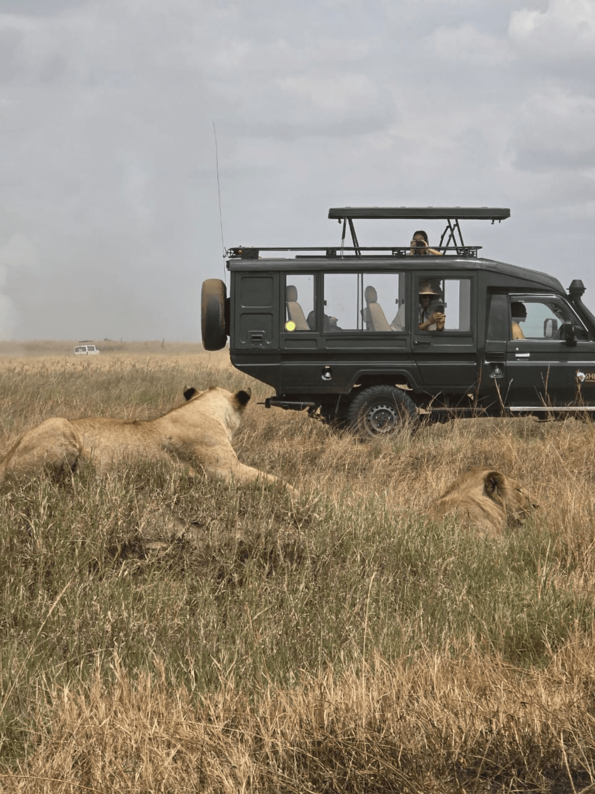 Click. Hold your breath. Lion – by Verah Njambi