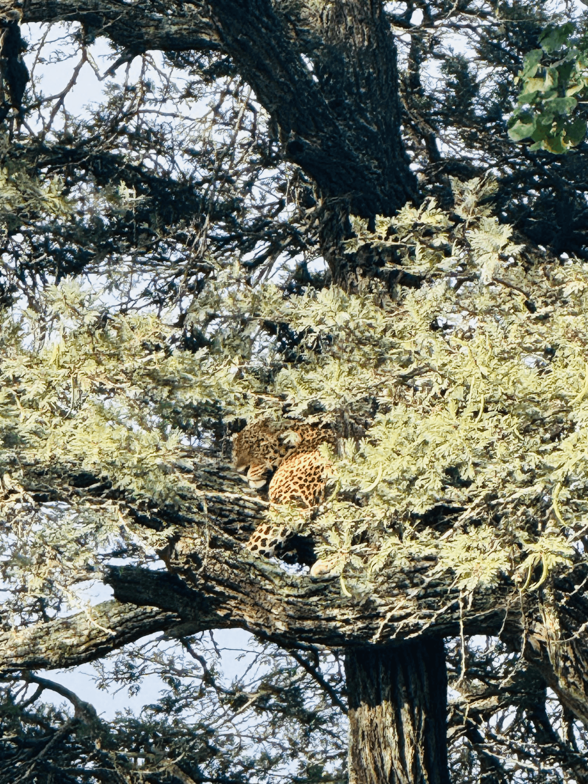 George Kabiru's story on Join Africa