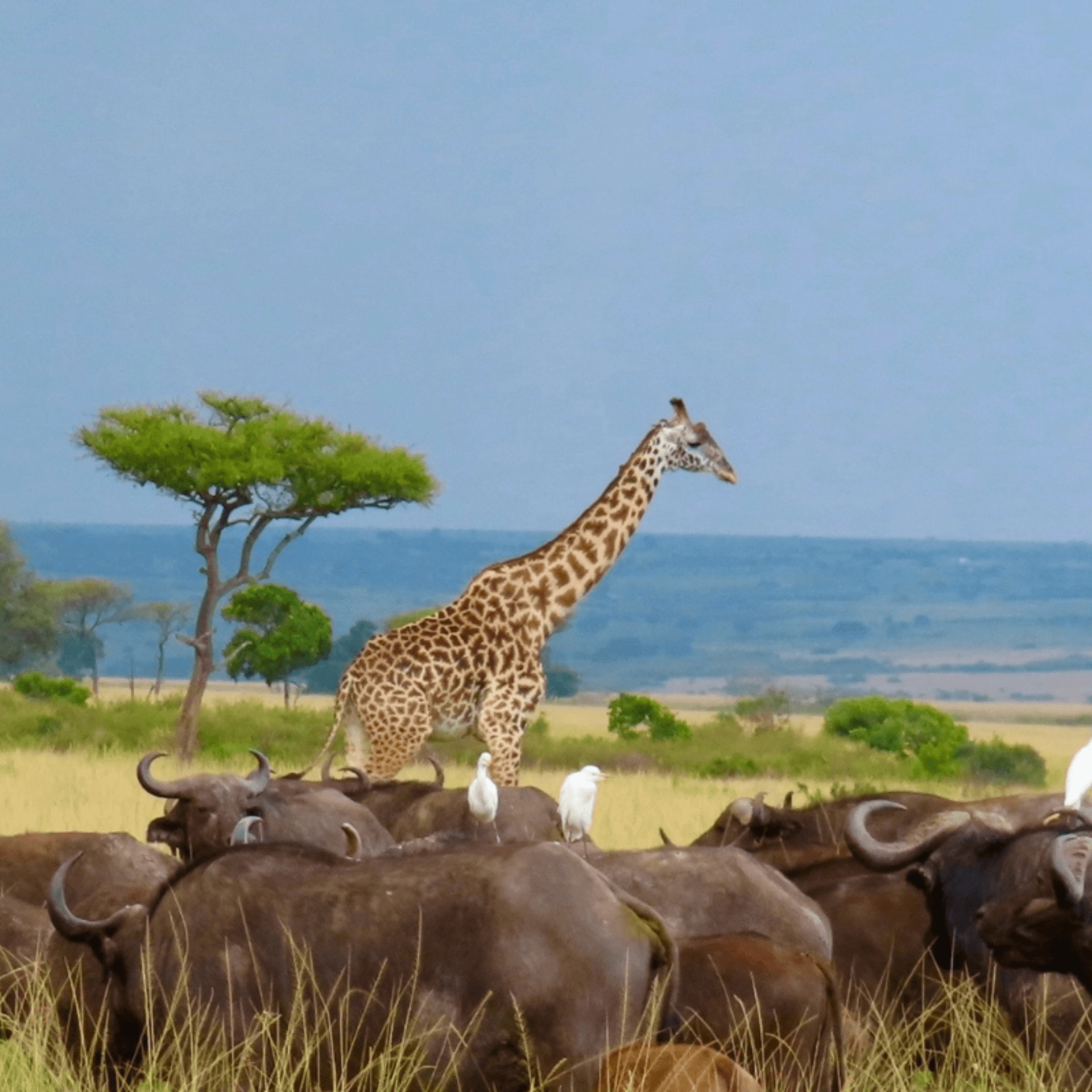 Emmanuel Yenko's story on Join Africa