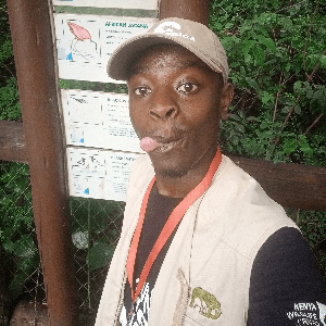 Julius kibe